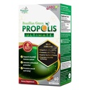LABO Nutrition Brazilian Green Propolis Ultimate - Enthält >7% oder 28mg pro Servierartepillin C & >5% Flavonoids, für Immun- und Gehirnunterstützung, Natürliche, hohe Konzentrate & Premium, 60 Veg Kapseln