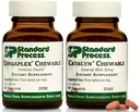 Standard Process Children's Wellness Chewable Bundle - Congaplex & Catalyn Supplement Kit - Immun- & Cell Function Support Supplements - Nahrungsergänzungsmittel für Gesamtgesundheit