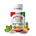 Nopalina Fiber Formula | 120 Kapseln | Flax Seed, Psyllium, Oat and Wheat Bran, Omega 3, 6 & 9 | Gut Health & Regularity | Das Original