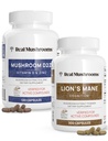 Echte Pilze Vitamin D2, Zink, Chaga, Reishi (120ct) und Lion's Mane (300ct) Bundle - Immunität und kognitive Unterstützung, Chelat Zink für verbesserte Absorption - Vegan, Glutenfrei, Non-GMO