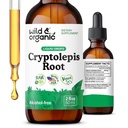 Wild & Organic Cryptolepis Sanguinolenta Tinktur - Detox & Immun Support Supplement - 1-Monats-Versorgung - Cryptolepis Extrakt Flüssigkeitstropfen - Vegan, Zucker & Alkoholfrei - 2 fl oz