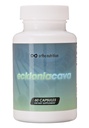 Ecklonia Cava Extract - 99% Reinheit - 50% Polyphenole - 320mg pro Tag Servieren, 60 Kapseln