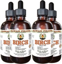 Birke Alkoholfreie Flüssigextrakt, Birke (Betula Alba) Getrocknete Bark Glycerite Hawaii Pharm natürliche Kräuterergänzung 4x4 oz