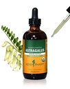 Herb Pharm Certified Organic Astragalus Flüssiger Extrakt für Immunsystemunterstützung - 4 Unze