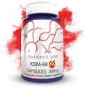 Nootropics Depot KSM-66 Ashwagandha Kapseln | 300mg | 180 Count | Withania somnifera Extract | Ayurvedic Herb | Adaptogen Supplement | Stress + Promote Relaxation* | Energie, Gedächtnis + Fokus*