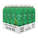 Chlorophyll Wasser – Flüssiges Chlorophyll 12-Pack (16.9oz) | Vitamin A, B12, C, D | Detox Cleanse, Alkalin Wasser, Energie Boost | Vitamin Water | Plant-Based | Clean Label Project | Hydration Support