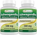 Best Naturals Ashwagandha Extract 500 Mg 120 Kapseln (Pack von 2)