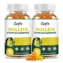 (120 Stück) Mullein Gummies für Lungs-Detox– Mullein Blatt-Extrakt mit Quercetin, Elderberry für Respiratory & Immune Support, Atmen & Lung Cleanse für Raucher, Vegan, Ananas Flavor, (2 Packung)