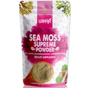 Wixar Wildcrafted Sea Moss Powder – (8 Unzen) – Natural Irish Sea Moss und Bladderwrack mit Burdock Powder - Schilddrüsenunterstützung, Gesunde Haut, Keto Detox, Joint Support Alkaline Supplements