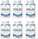 Best Earth Naturals Six Pack of Catalase 10.000 Formula Enzyme Supplement mit Saw Palmetto, Biotin, Fo-Ti, PABA - Haarergänzungsmittel für starkes Haar - 360 Kapseln (180-Tage-Versorgung)