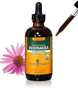 Kräuter Pharm Certified Organic Echinacea Wurzelflüssigkeit Extrakt für Immunsystem Unterstützung, Alkoholfreies Glycerit, 4 Unze