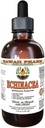 Echinacea Alcohol-Free Liquid Extract, Organic Echinacea (Echinacea Purpurea) Getrocknete Kräuter Glycerite Hawaii Pharm Natural Herbal Supplement 4 oz