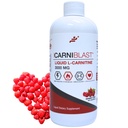 Bricker Labs CARNIBLAST Liquid L-Carnitin 3000mg, Premium L Carnitine Carnipure, Energy Nutrition, Energy Supplement und Energy Booster, Raspberry, 16 fl oz