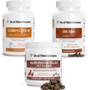 Echte Pilze Reishi & Cordyceps für Mensch & Pilz Haustier Relax Chews - Bundle für Entspannung, Energie &amp; Immunität - Vegan, Non-GMO, Gluten-Free, Grain-Free Pilzextrakt Ergänzungen