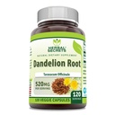Herbal Secrets Dandelion Root Supplement | 520 Mg | 120 Veggie Kapseln | Non-GMO | Gluten Free | Made in USA