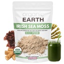 Organic Earth Irish Sea Moss Powder 8oz - Wildcrafted Sea Moss Organic with Bladderwrack & Burdock Root Powder - Schilddrüse, Verdauungsunterstützung & Gesunde Haut - USDA Certified Organic