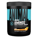 Tierische saftige Aminosäuren - BCAA Pulver EAA Matrix Plus Hydratation mit Elektrolyten und Meersalz jederzeit Erholung und verbesserte Leistung, Orangengeschmack, 30 Portionen