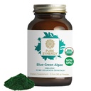 PURE SYNERGY Blue-Green Algae Powder | Superfood Pulver mit Chlorophyll | Organic AFA Blue Green Algae Supplement | Unterstützt Energie, Psychische Klarheit und Entgiftung (3.2 oz.)