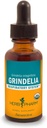 Kräuter Pharm Grindelia Flüssiger Extrakt für Atemsystemunterstützung - 1 Unze (DGRIND01)
