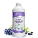 Buried Treasure Fulvic Minerals Grape Flavored – Kolloidale Mineralien aus Humic Fulvic Acid, Elektrolyte aus Trace Minerals for Recovery and Wellness Support. Zu Wasser hinzufügen – 32 Servietten