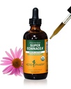 Herb Pharm Certified Organic Super Echinacea Liquid Extract für aktive Immunsystemunterstützung - 4 Oz