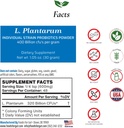 Lebensmittel für Gut Lactobacillus Plantarum Probiotic Powder 400 Billion cfu's | Made in USA | No Additives | Direct from Manufacturer | No Third-Party Storage | Immune Support | 30 Gramm (1.05 Oz)