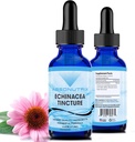 Absonutrix Echinacea Tincture Advanced Formel 390 mg, 4 Oz Liquid, 302 Servierungen, Made in USA, schnelle Absorption, Qualität Potent Ingredients, Non-GMO, GMP zertifizierte Einrichtung, Cruelty-Free Products