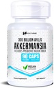 Healthfare Akkermansia Muciniphila Probiotic | 300 Billion AFU | 90 Vegan Kapseln | Inulin Prebiotic for Gut Health & Digestive Support | Non-GMO, Gluten-Free | Made in USA