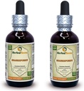 Shankhpushpi, Horseshoe Vitex (Convolvulus Pluricaulis) Dried Whole Herb Liquid Extract (Markenname: HerbalTerra, Proudly Made in USA) 2x2 oz