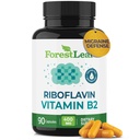 ForestLeaf Vitamin B2 Riboflavin 400mg - Energie, Skin & Cellular Health Supplement - Nervous System Support - Vitamin B 2 VIT B - Nicht-GMO & Glutenfrei - B2 Vitamin 400mg Gemüsekapseln, 90 Zähler
