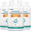 Orgabay Liposomal NAD+ Ergänzung 500 mg, hohe Absorption, Boost NAD+ mit TMG 250 mg, Actual NAD Plus Mehr Efficient Than Nicotinamid Riboside, Unterstützung Cellular Energy, Healthy Aging | 180 Softgels