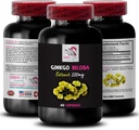 Ginkgo biloba Ergänzung - Ginkgo BILOBA Extrakt - Natürliche Antioxidantien Extrakt, Kräuter-Antioxidantien-Unterstützung, Ginkgo biloba Vorteile, Botanische Extrakt-Ergänzung, pflanzlichen Antioxidans 1 Bot 60 Caps