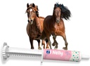 Horse Probiotics (80cc), Horse Paste Pre and Probiotics +Vitamine &Minerals- 4 Strains und 8 Billion CFU pro Servier- Immun- und Gastro-Gesundheitsunterstützung für Equine