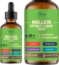 4-in-1 Mullein Tropfen für Lunge, Bio Mullein Leaf & Honeysuckle & Eucalyptus Leaf & Echinacea Extrakte, für Lung Cleanse, Immun & Respiratory Support, Sugar-Free | Non-GMO | Vegan, 2 Fl oz