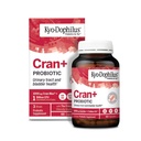 Kyolic Kyo-Dophilus Cran+ Probiotic, Urinary Tract and Bladder Health*, 60 Kapseln