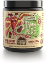 Earth Fed Muscle Stammpede Sour Cherry Pre Workout Pulver für Männer & Frauen, Pre Workout Keine Koffein, Vegan & Glutenfrei, Boosts Focus & Endurance, Lion’s Mane, Taurine, Peak O2, 30 Servierungen