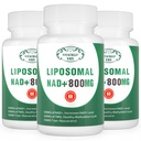 NAD+ Ergänzung Liposomal NAD+ Plus 800MG Nicotinamid Riboside Alternative für Zellenergie, Gesunde Alterung und Muskelreparatur 180 Kapseln (Pack von 3)