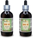 Zhi Zi, Gardenia (Gardenia Jasminoides) Glycerit, Organic Dried Fruit Alcohol-Free Liquid Extract (Markenname: HerbalTerra, Proudly Made in USA) 2x4 fl.oz (2x120 ml)