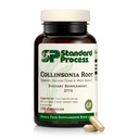 Standard Process Collinsonia Root - Healthy Vascular Tissue Support Supplement - Bladder & Kidney Health Supplement mit Collinsonia Root - Ergänzung zu Aid Digestive Health - 150 Kapseln