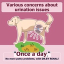 Dr.by Renal Kidney Bladder Urethra Nahrungsergänzung für Hunde und Welpen - Sweet Potato Flavored Dog Supplement für Hund UTI, 30 Graf Individuell verpackt (Pack von 1)