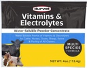 Dauer Vitamine & Elektrolyte Beton, 4 Unzen (113.4g)