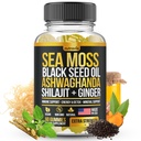 Sea Moss, Black Seed Oil, Ashwagandha, Ginger, Shilajit Gummies mit Elderberry, Chlorophyll, Turmeric Bladderwrack Sea Moss Gummis Advanced Strength Formula - All in 1 Bundle - USA Made (60 Gummies)
