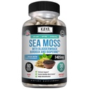 Kaya Naturals Sea Moss - Mobility Supplement for Men and Women - with Burdock Root, Irish Moss, Bladderwrack, and BioPerine - for Mobility Health and Immune Boost, 60 Count