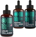 WILD FUEL Liquid Collagen, Marine Collagen und Liquid Chlorophyll Beauty and Wellness Bundle