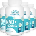 Liposomal NAD+ Ergänzung 1000 mg | Höchste NAD Pontecy | Max Absorption | Reine NAD Ergänzung | Energie und DNA Reparatur, Alterung Verteidigung, Gehirn Funktion | 240 Softgels