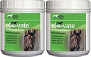 Kentucky Performance Produkte 2 Packung mit erhöhter Wartungsleistung, 2 Pfund jede, natürliche Vitamin E Pferdeergänzung