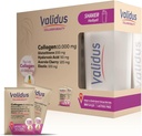VALIDUS Collagen 10.000 mg + Elastin 100 mg + Glutathion 200 mg 30 Beutel + Shaker