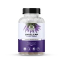 Erstaunliche Botanik Skullcap 10X Extrakt Tabletten 2.000 mg - Hohe Potenz Kräuterergänzung für Entspannung und Wellness - 30 Tabletten
