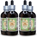 Queen of The Meadow (Eupatorium Purpureum) Glycerit, Organic Dried Herb Alcohol-Free Liquid Extract (Markenname: HerbalTerra, Proudly Made in USA) 4x4 fl.oz (4x120 ml)