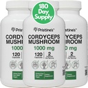 PRISTINE's Cordyceps Mushroom (3 Pack) 1000 MG - Athletische Leistung, Ausdauer und Immunität Adaptogen Kapsel Supplement - 180 Tage Versorgung - Anti Aging Support Antioxidant